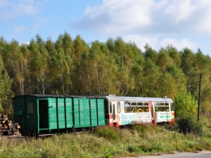 Koszalińska wąskotorówka zestawiła pociąg na grzyby